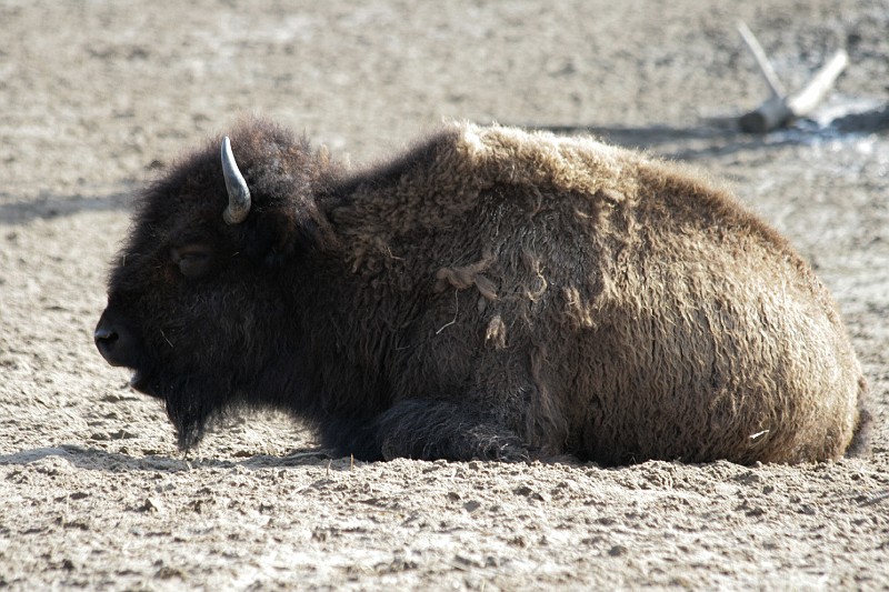 Fotoclubje Blijdorp 2008-167.jpg